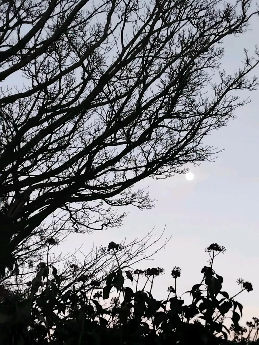 Landscape prints. - Image 4