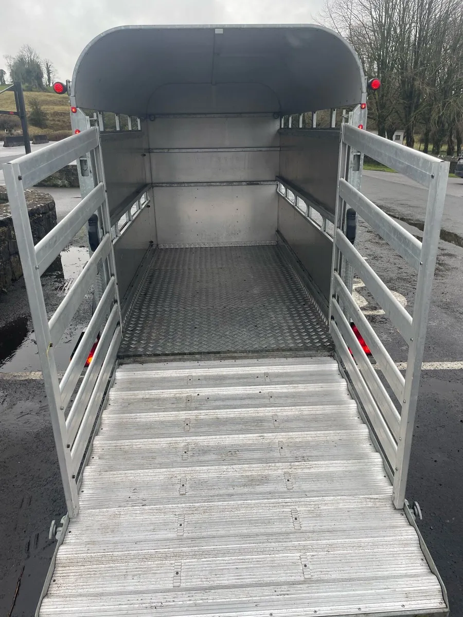 Graham Edwards 10ft Twin Axle Livestock Trailer - Image 3