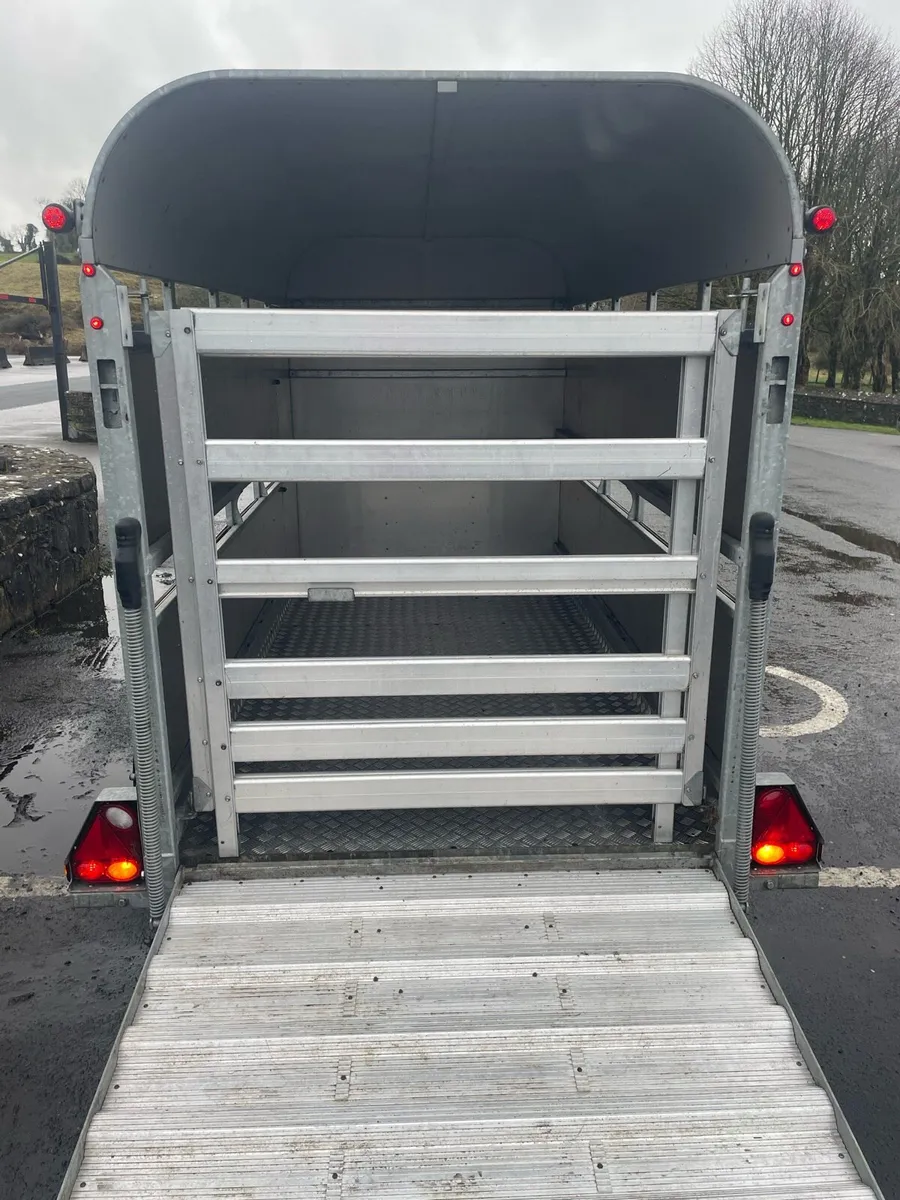Graham Edwards 10ft Twin Axle Livestock Trailer - Image 4