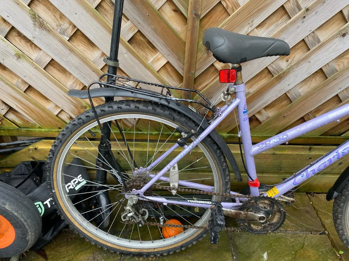 Lady’s bike - Image 2