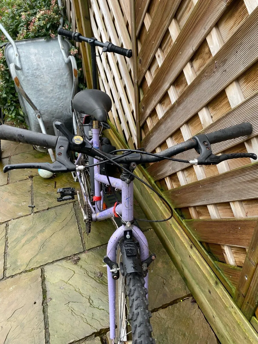 Lady’s bike - Image 3