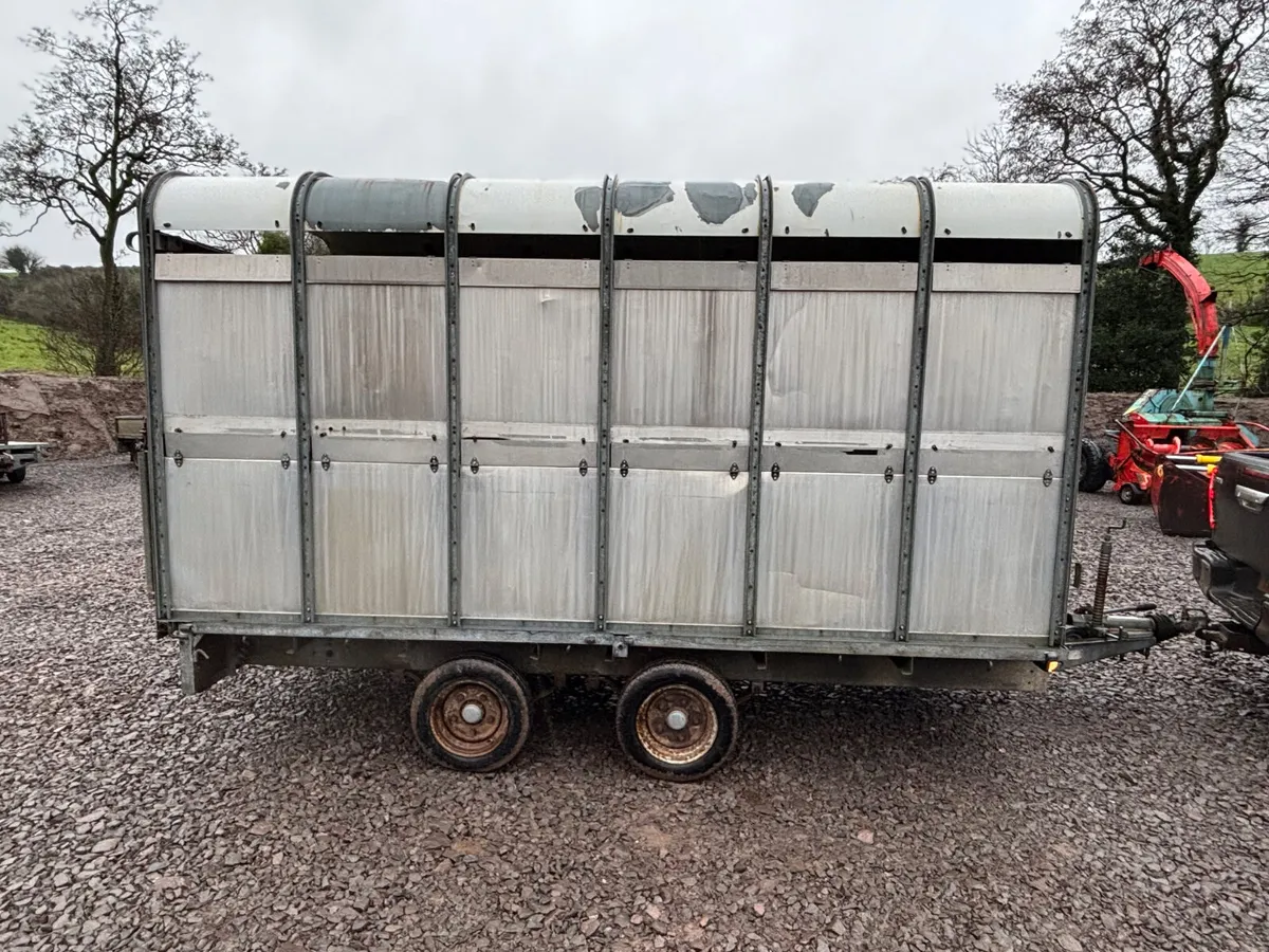 Ifor williams 12ft x 6ft 6” cattle trailer - Image 1