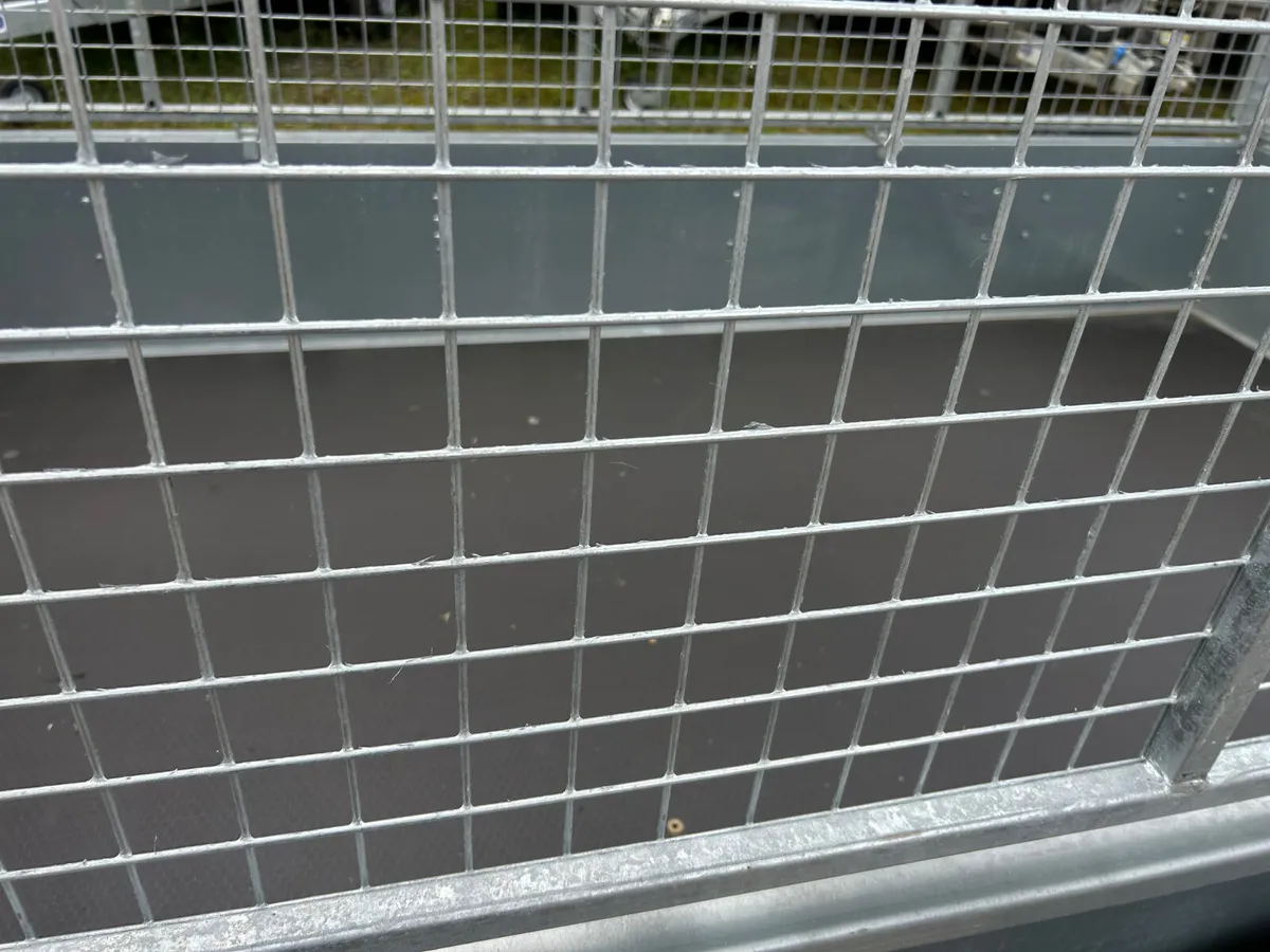 Finance a New Ifor Williams 10x5 , Mesh Sides+Ramp - Image 4