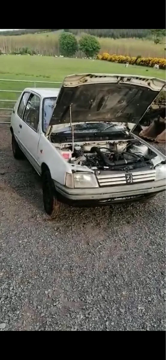Peugeot 205 - Image 2