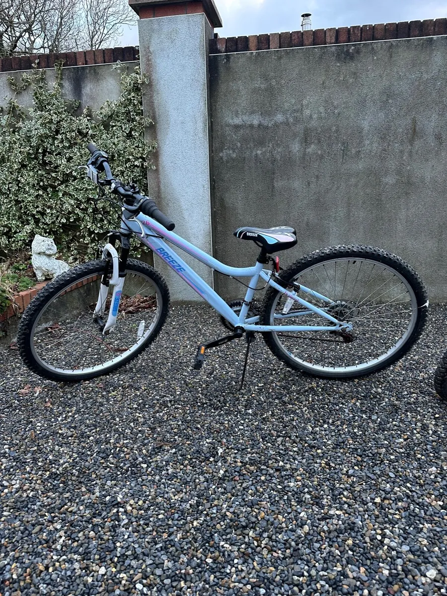 2 x Girls Bicycles - Image 1