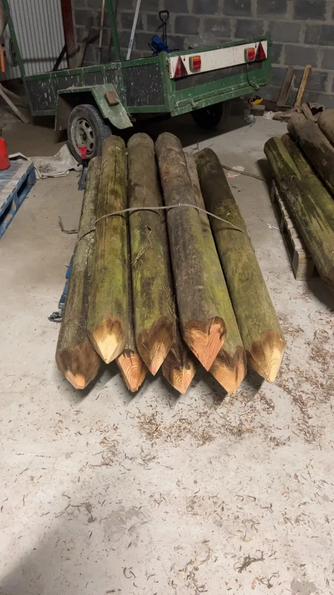 Fencing posts - Image 2