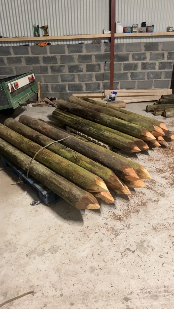 Fencing posts - Image 1