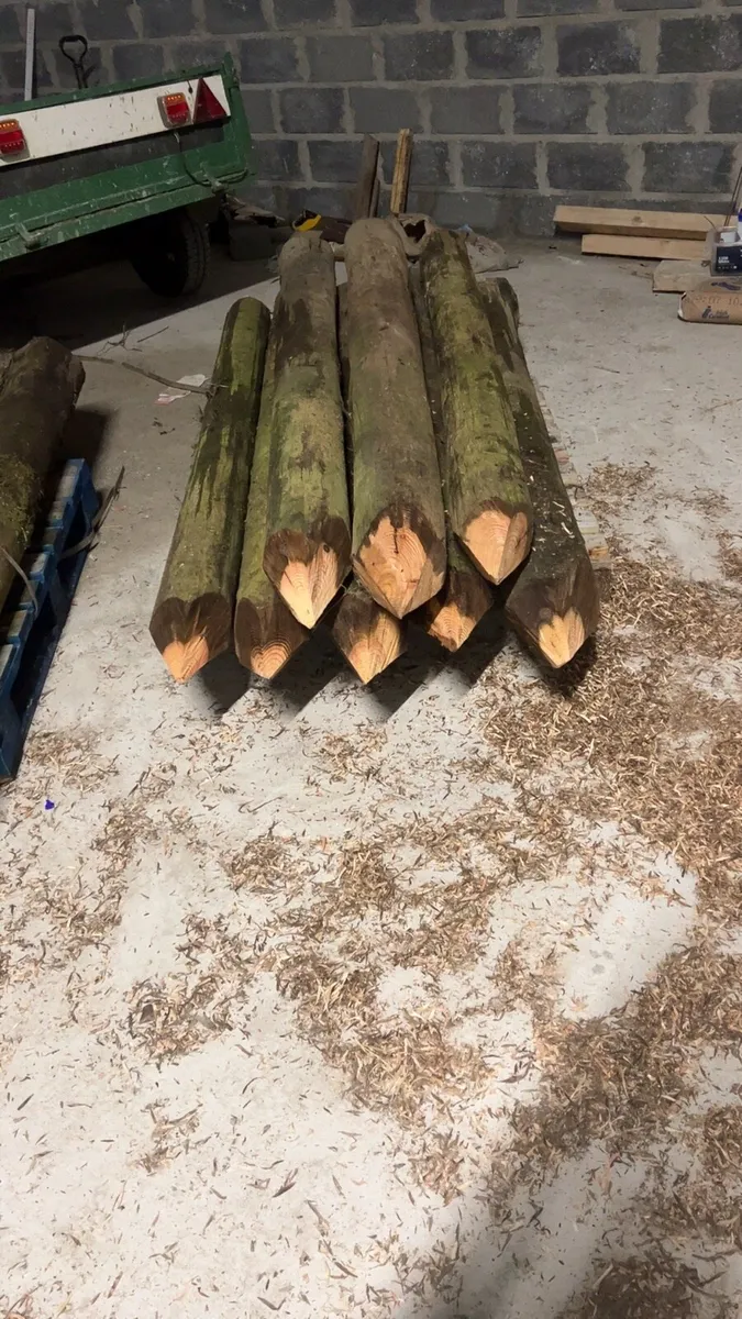 Fencing posts - Image 4