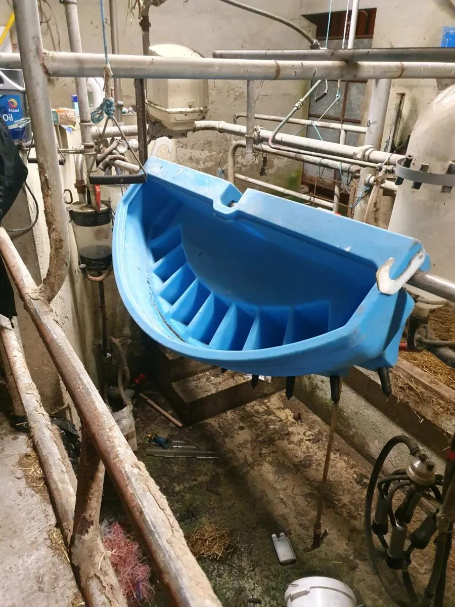 Jfc 10 teeth calf feeder - Image 1