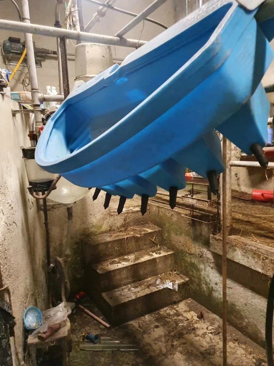 Jfc 10 teeth calf feeder - Image 2