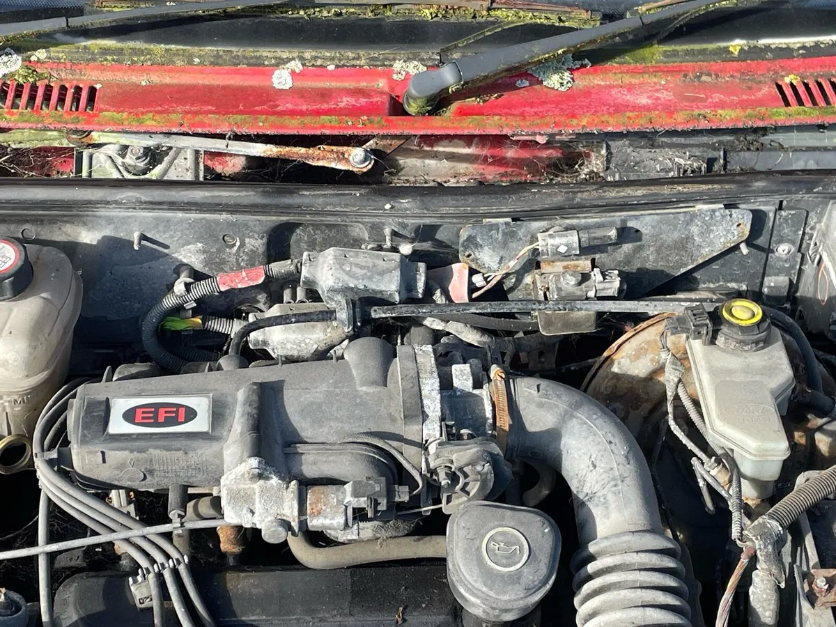 Ford fiesta - Image 3