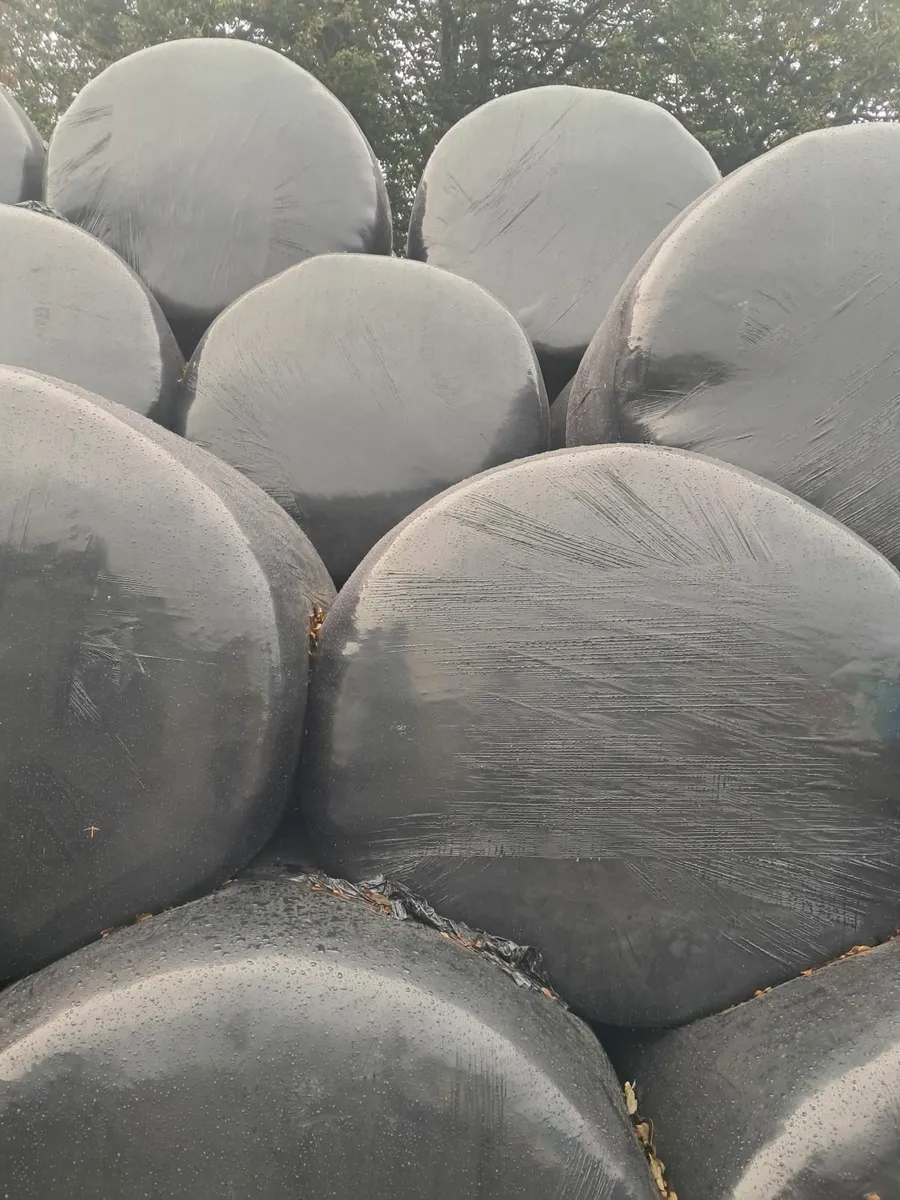 Silage bales for sale