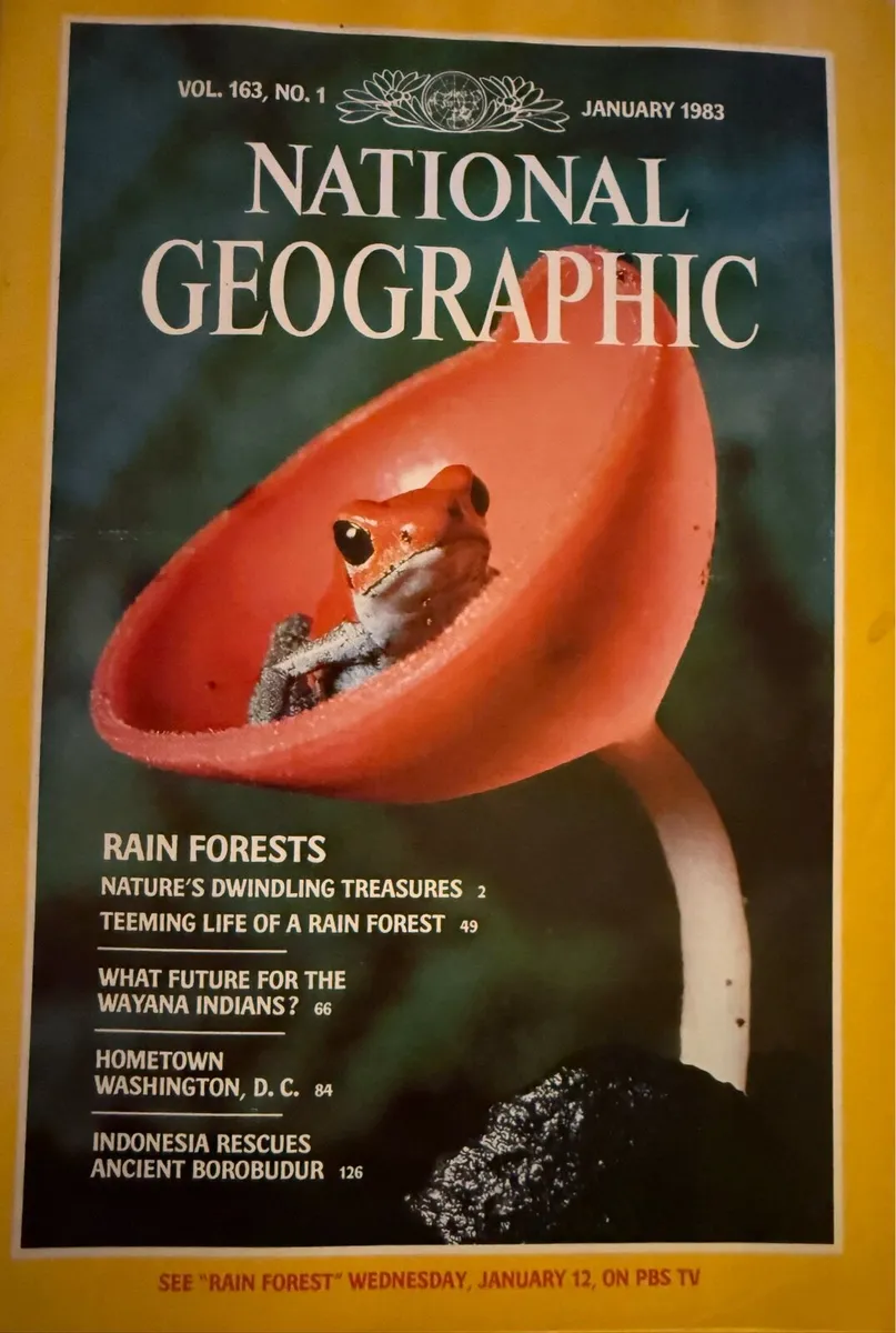 national geographic magazines 1960s and 1980s
