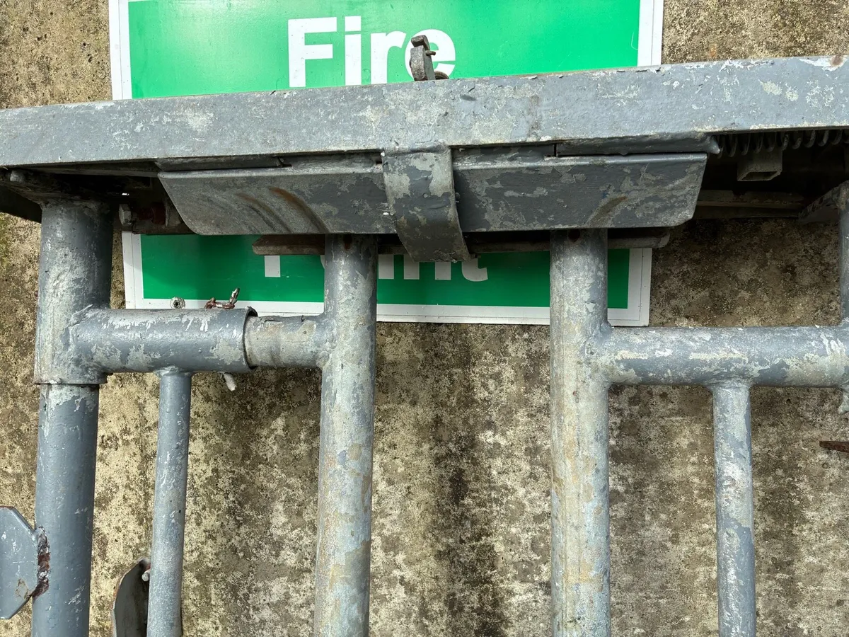 Cattle crush head gate - Image 3