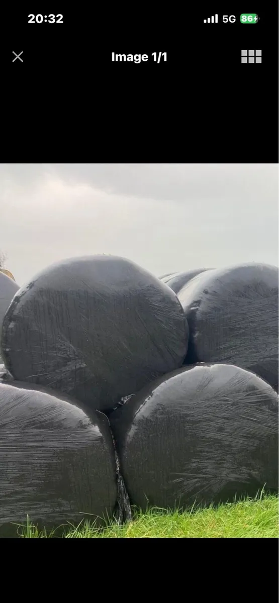 Round bales of Hay - Image 4