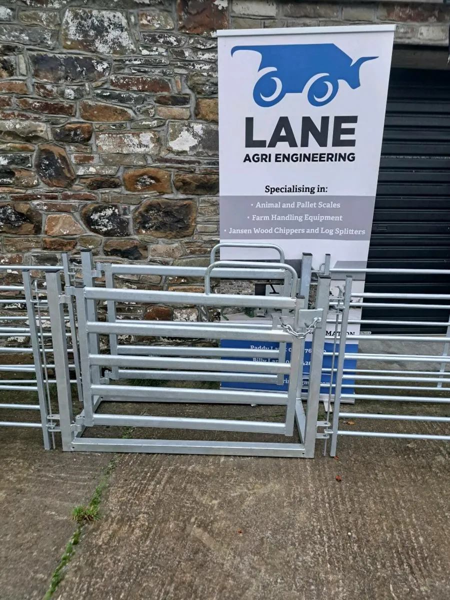 Sheep Scales - Image 4