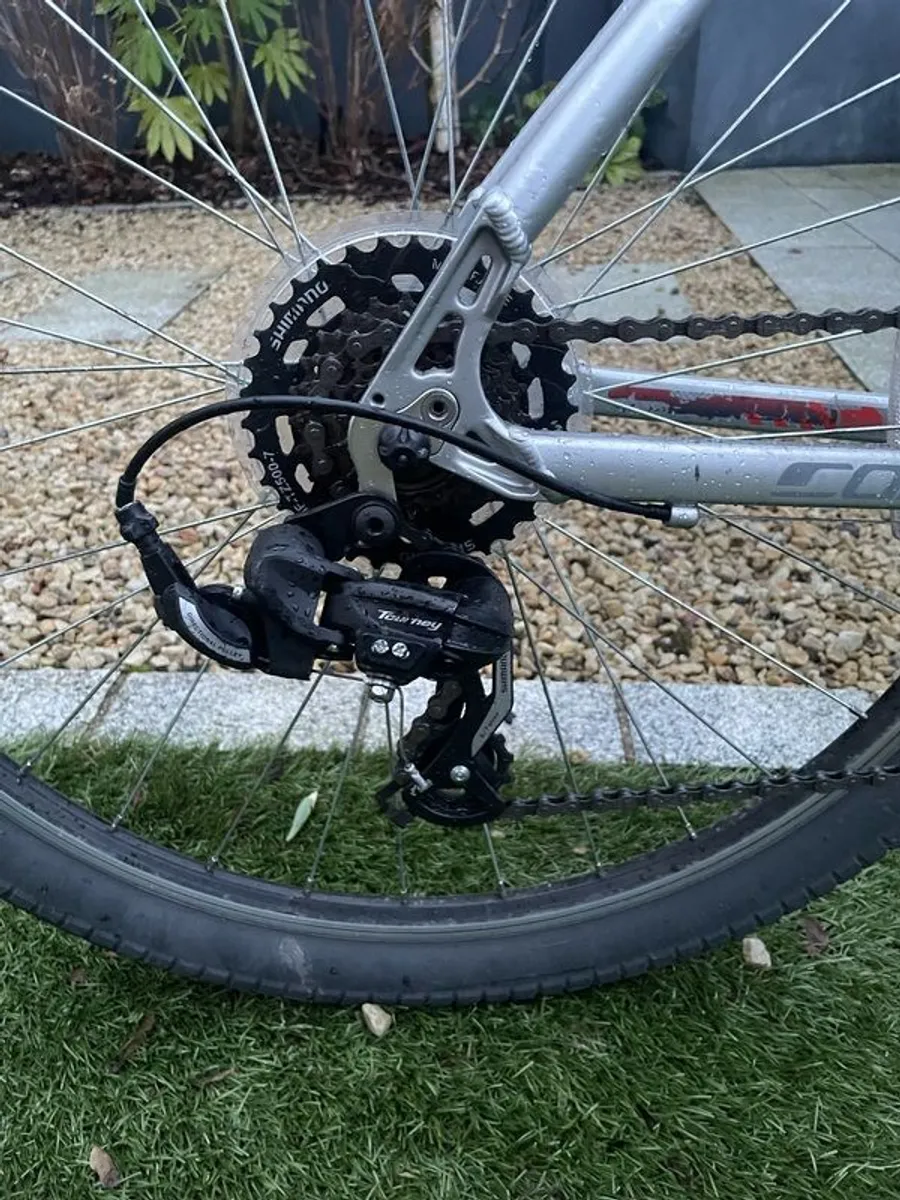 27.5" L Correra Parva - Image 3