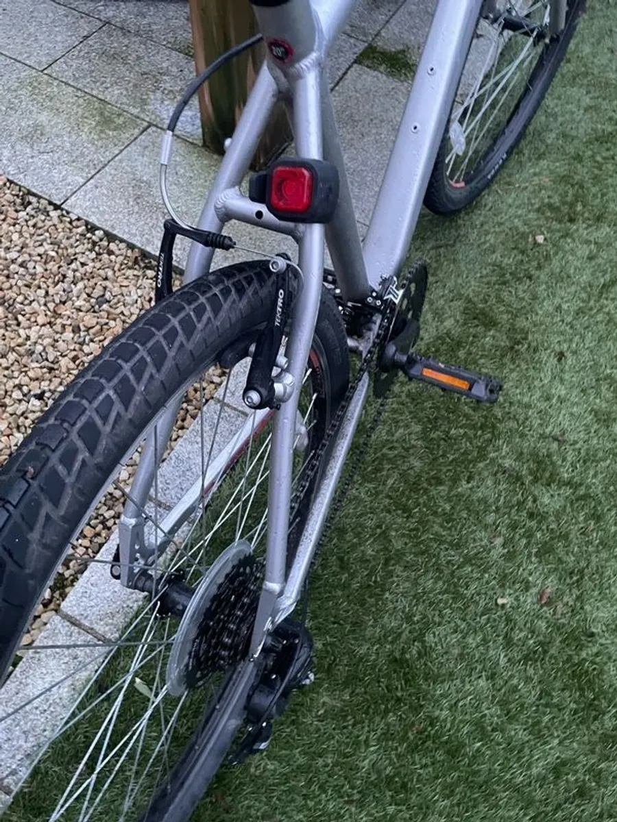 27.5" L Correra Parva - Image 4