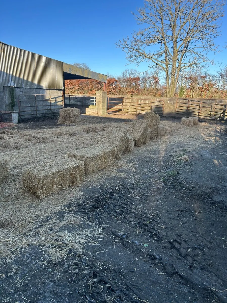 John Deere 456 small square baler - Image 3