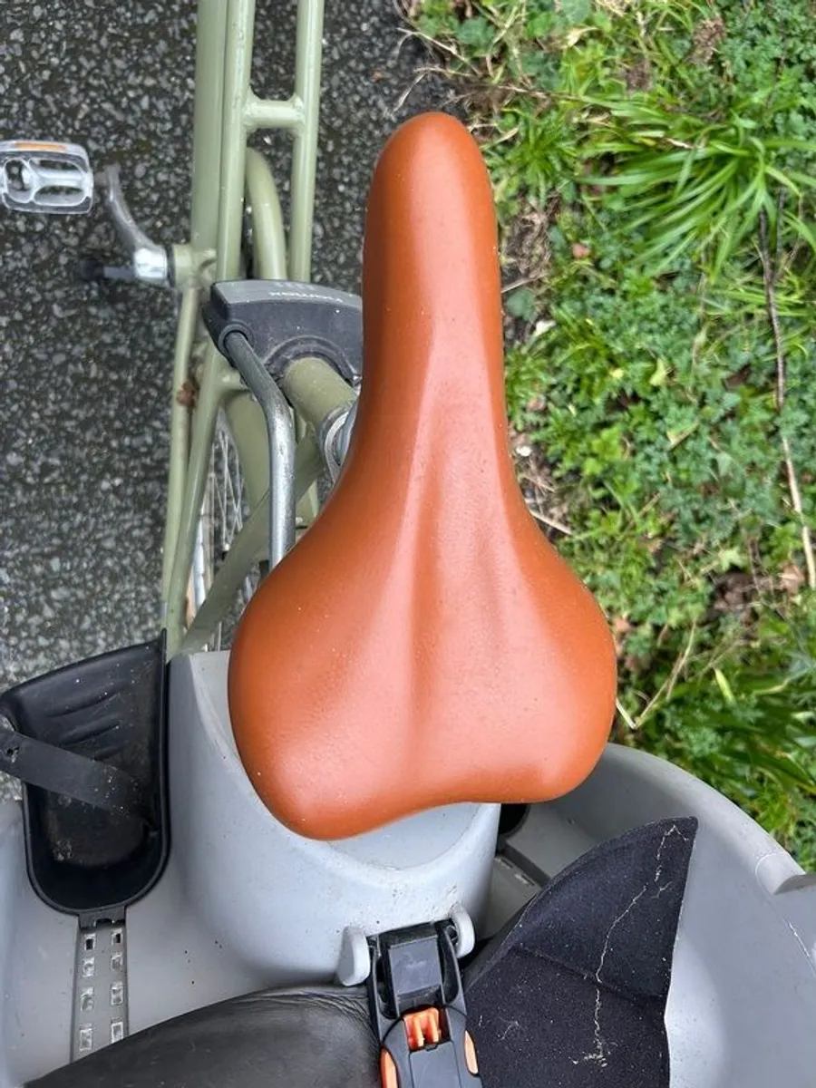 Ladies Bike - Image 3