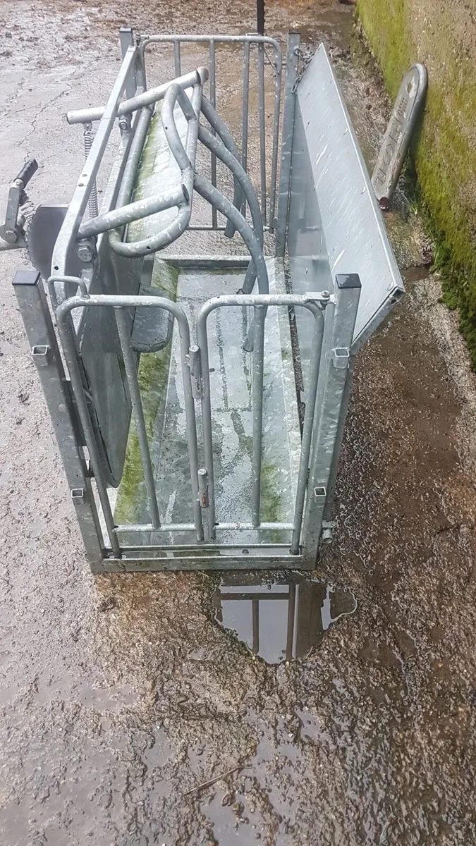 Cormac sheep turn over crate - Image 2