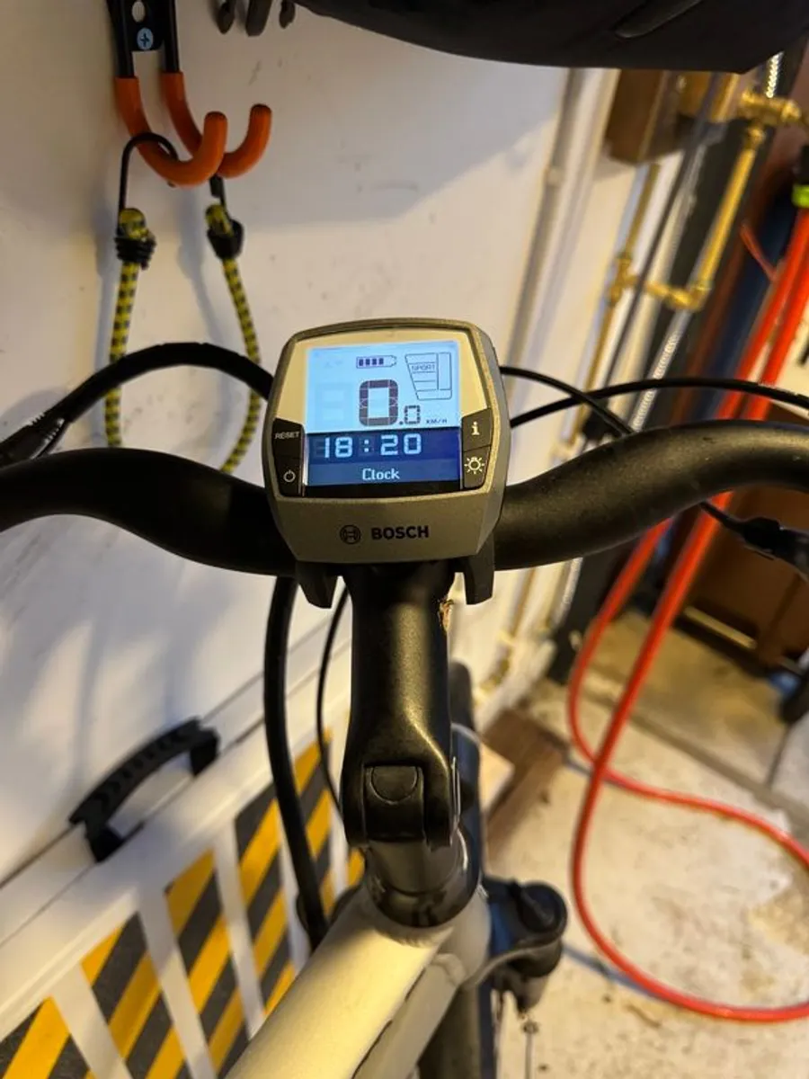 E-Bike - Raleigh Motus Cruiser for sale - Image 3