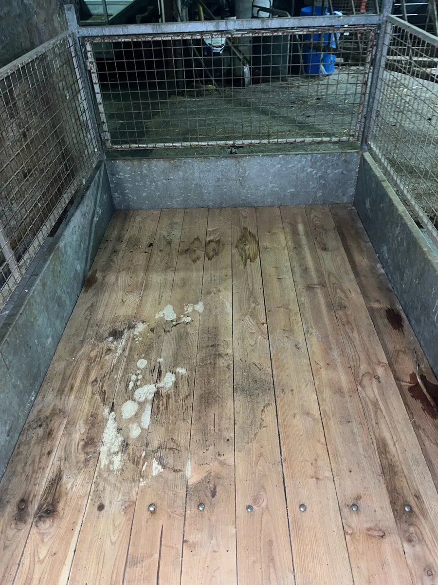 8x5 Galvanised trailer. - Image 4