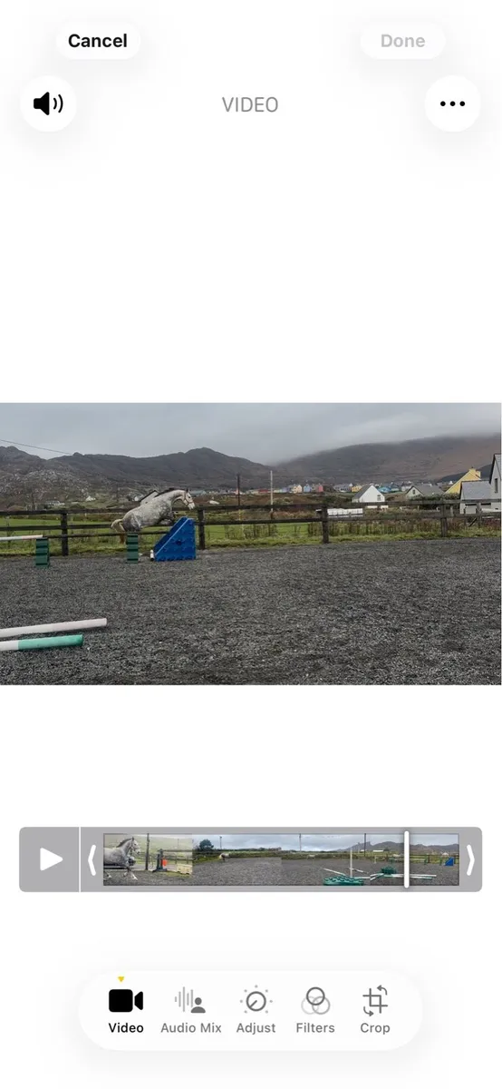 RID 5yr old - Image 4