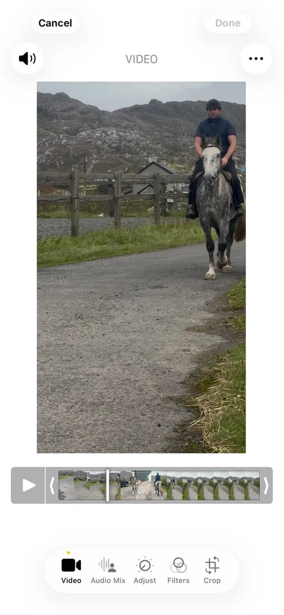 RID 5yr old - Image 2