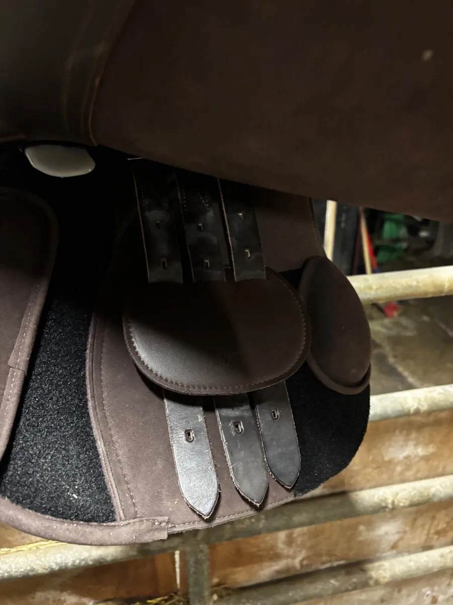 Saddle - Image 2