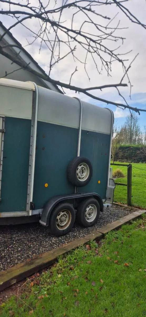 Ifor williams horsebox - Image 1
