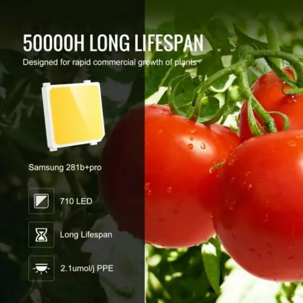 LED Grow Light, 300W Full Spectrum Dimmable, High - Image 2