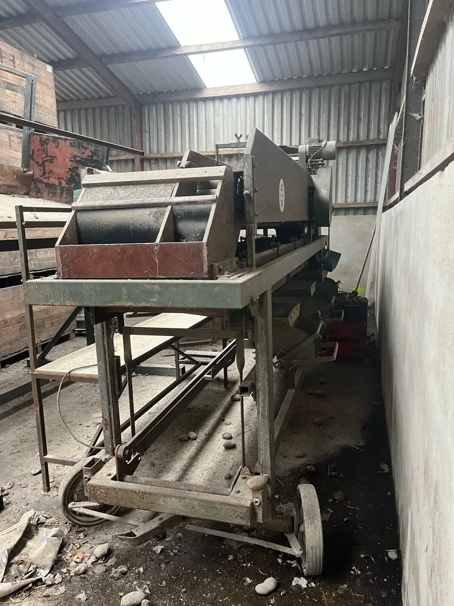 Potato sorter - Image 1