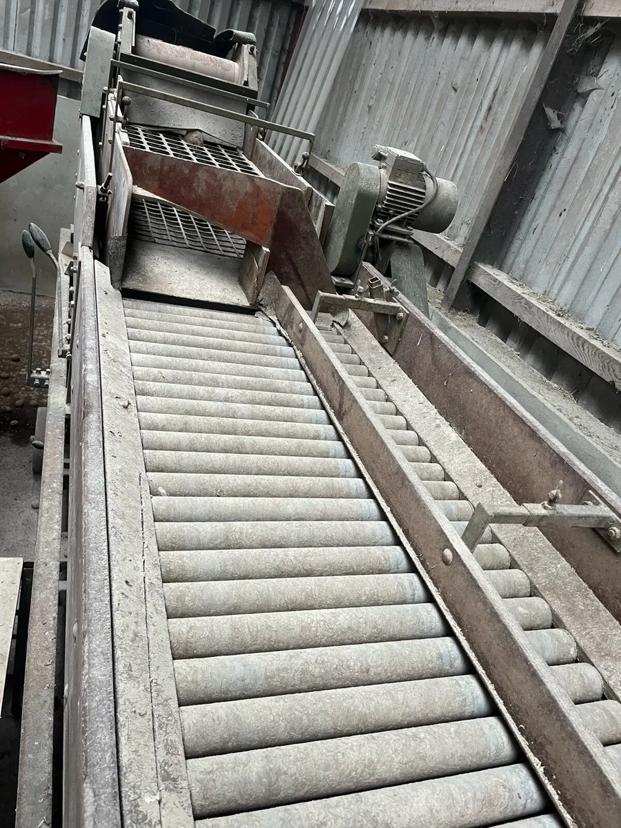 Potato sorter - Image 2