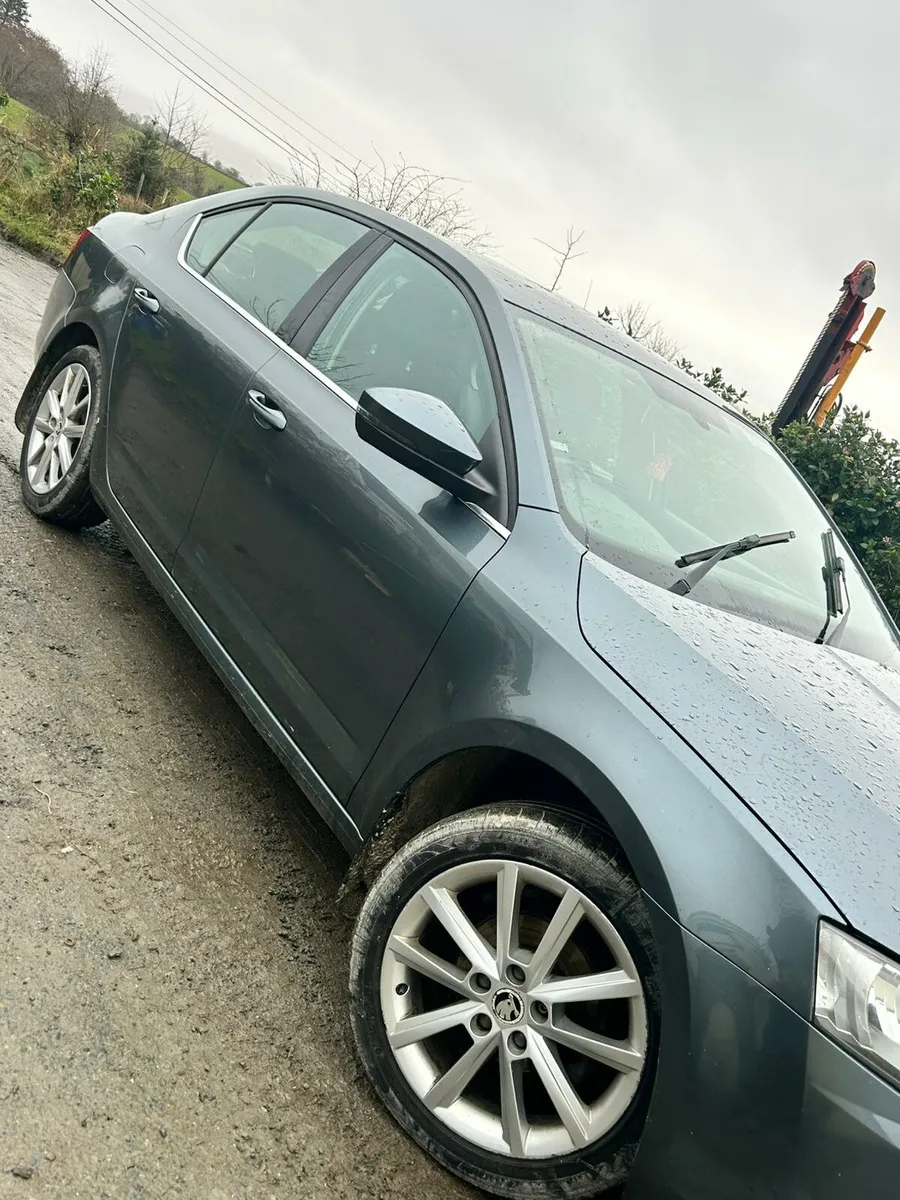 Skoda Octavia 1.6 tdi   161 - Image 2