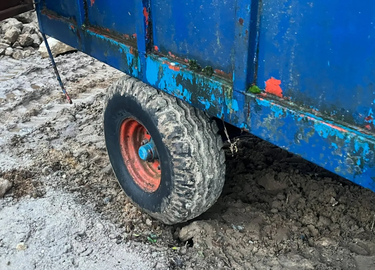 Dung Trailer /Box Trailer - Image 2