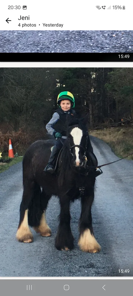 Cob for sale - Image 2