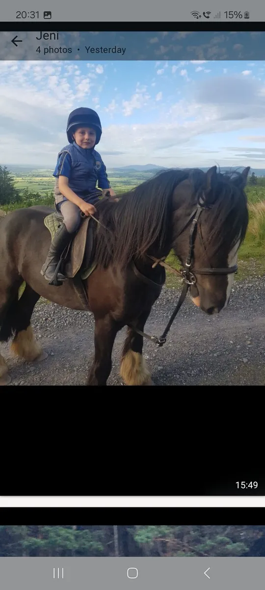 Cob for sale - Image 3