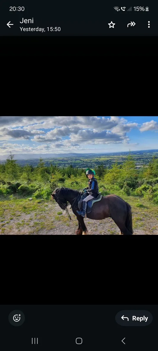 Cob for sale - Image 1