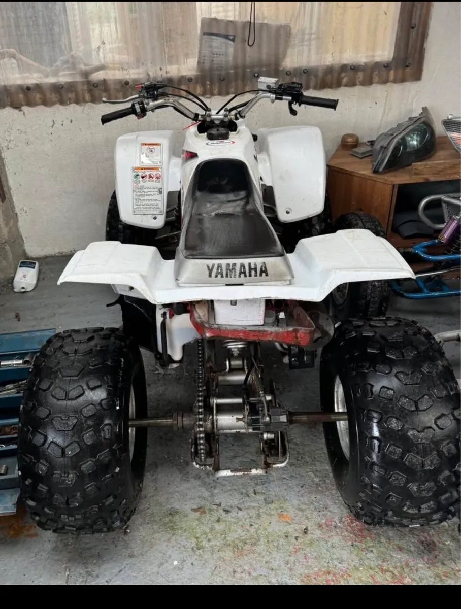 Yamaha blaster 200 - Image 2