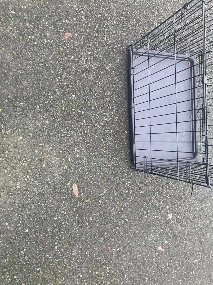 Dog transport cage - Image 2