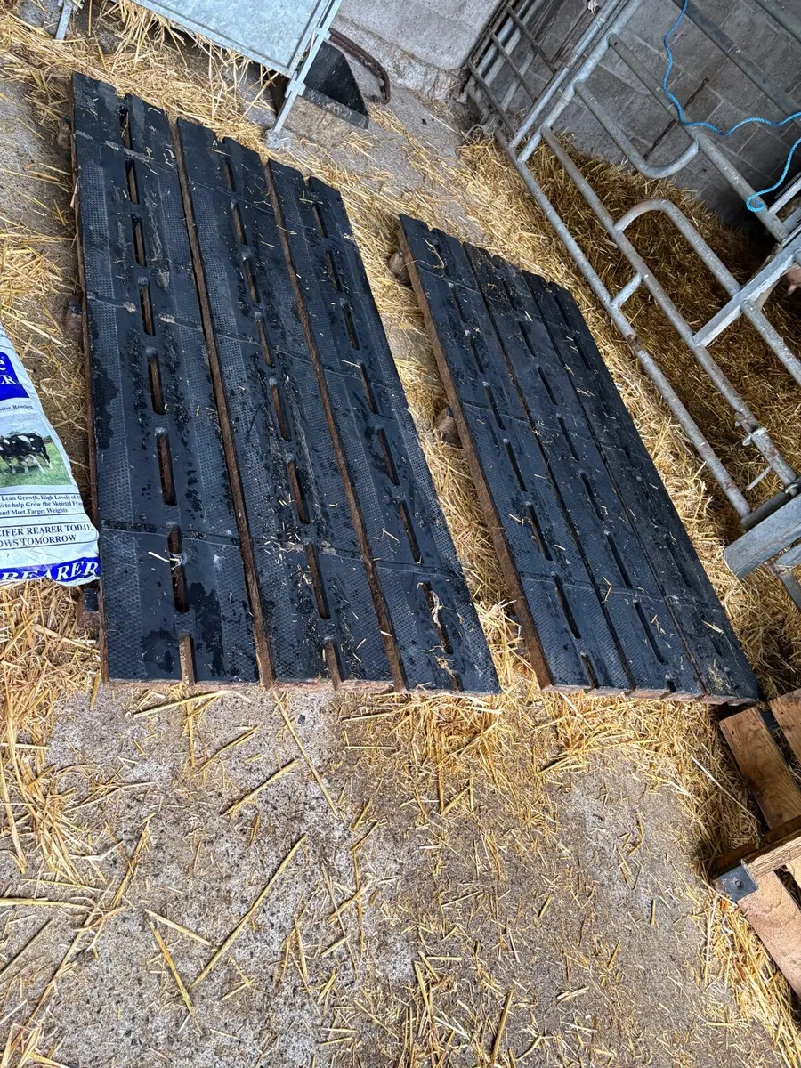 Calf Slats - Image 2