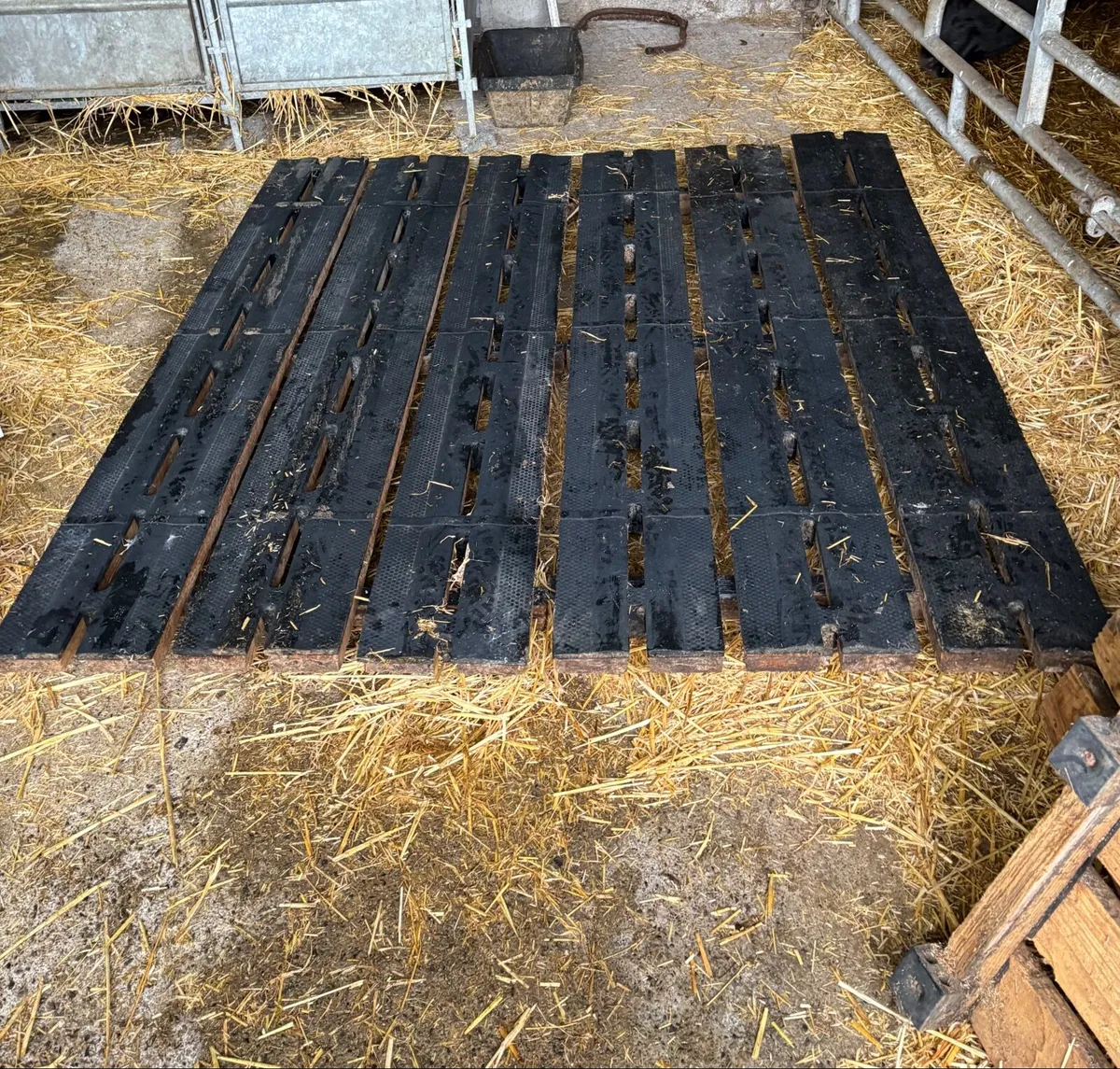 Calf Slats - Image 1