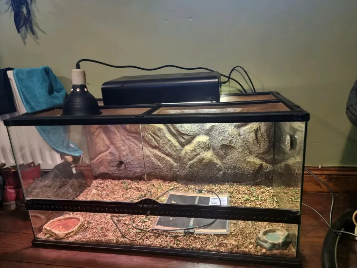 Vivarium - Image 2