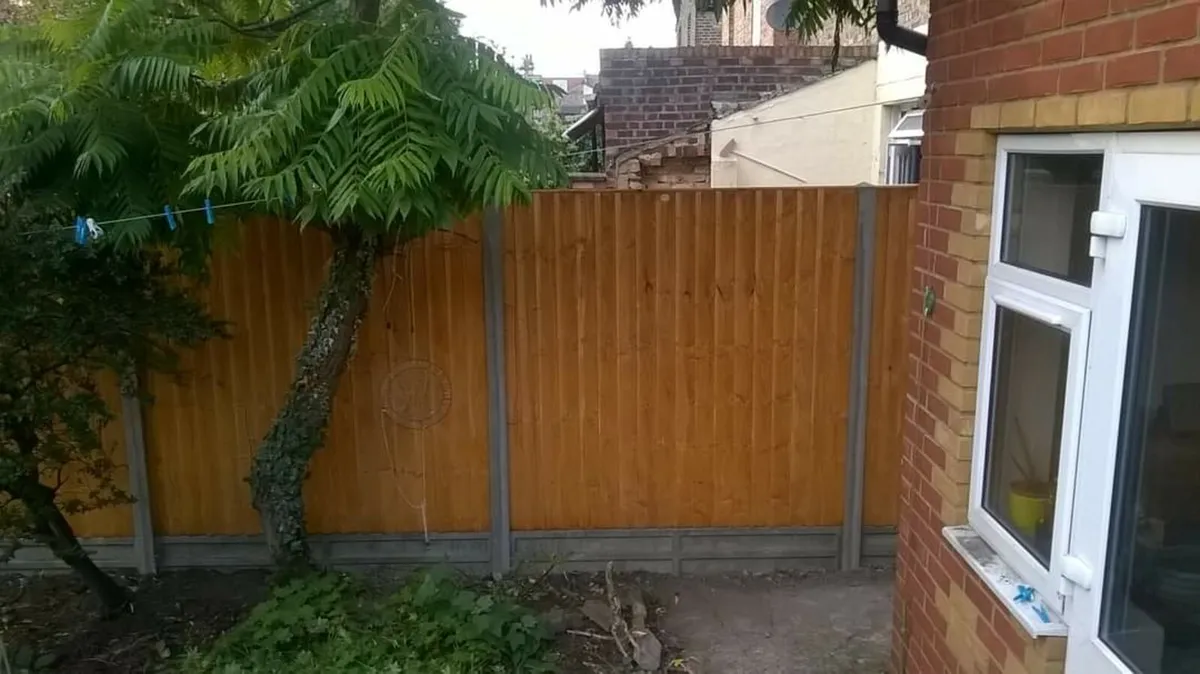 I WILL CLEAN UP YOUR FRONT & BACK GARDEN - Image 2