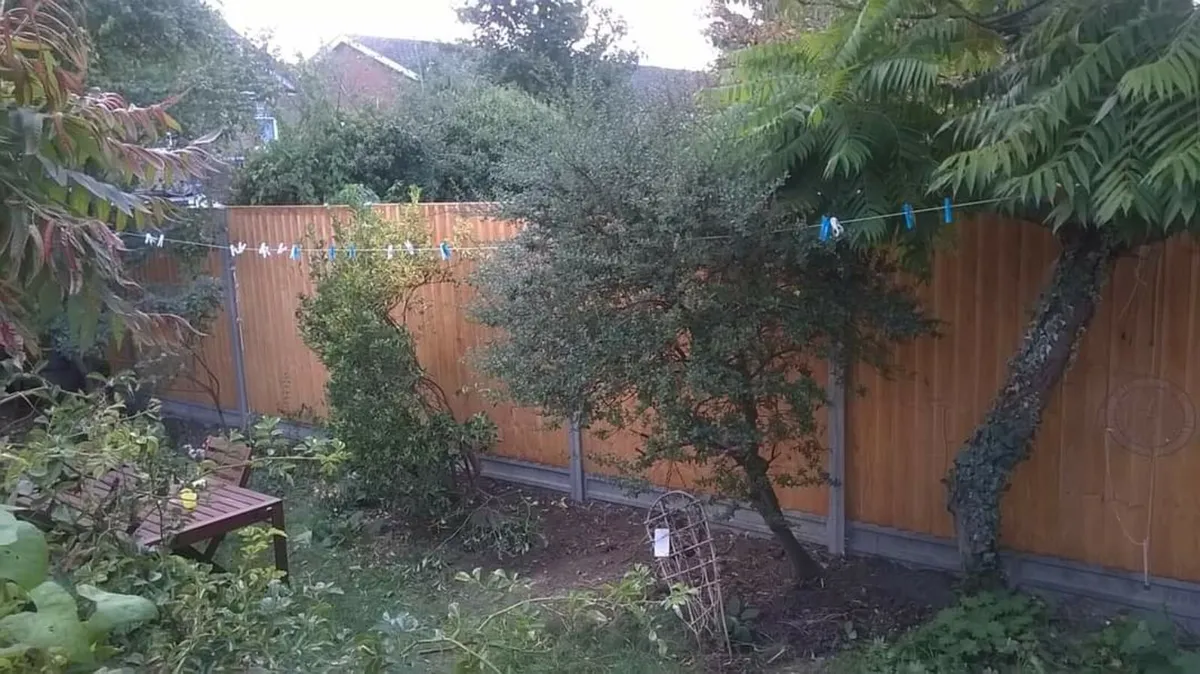 I WILL CLEAN UP YOUR FRONT & BACK GARDEN - Image 3