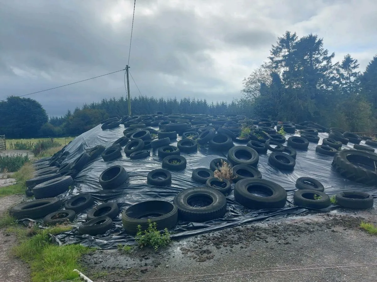 Pit Silage - Image 1