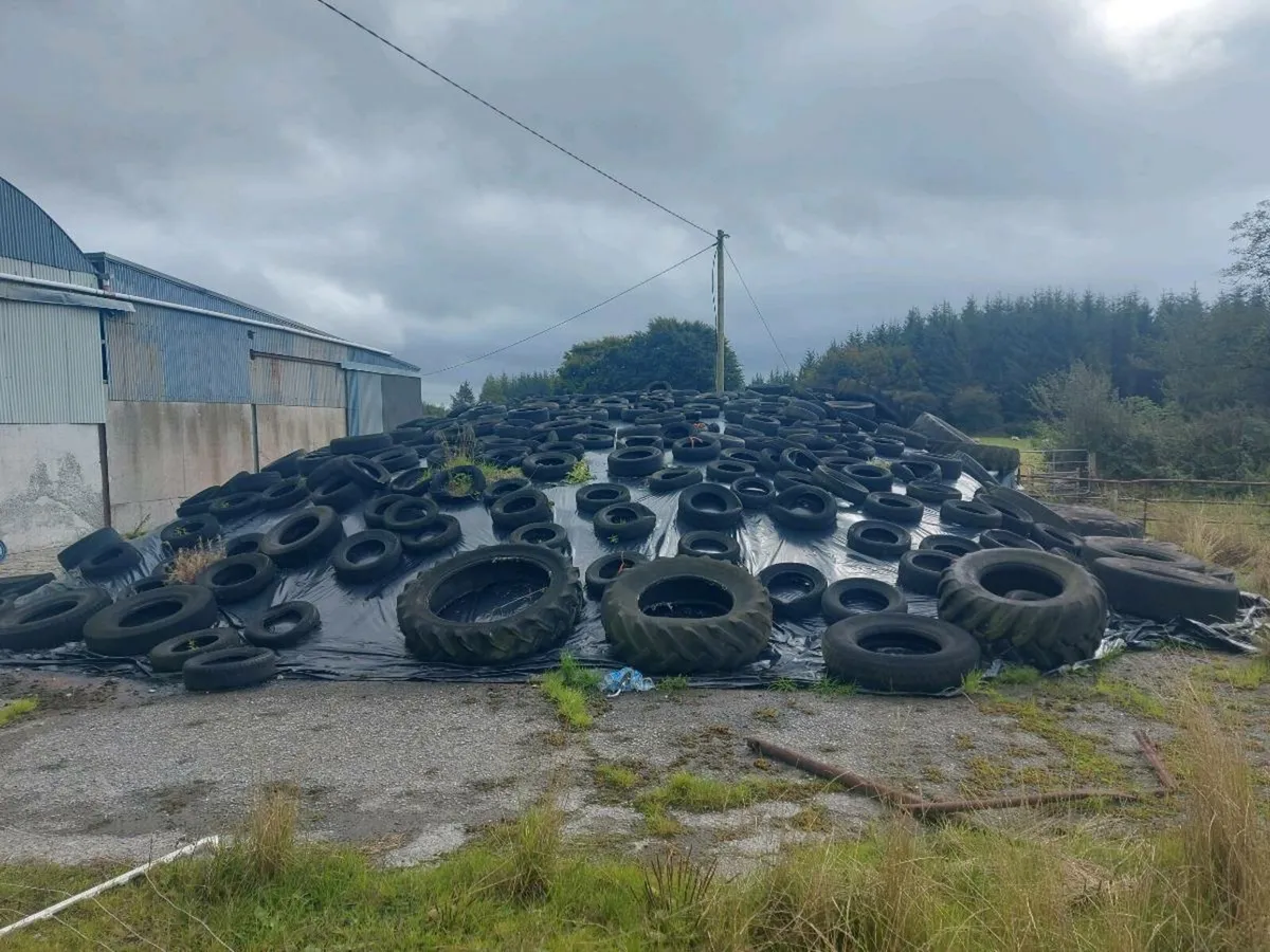 Pit Silage - Image 2