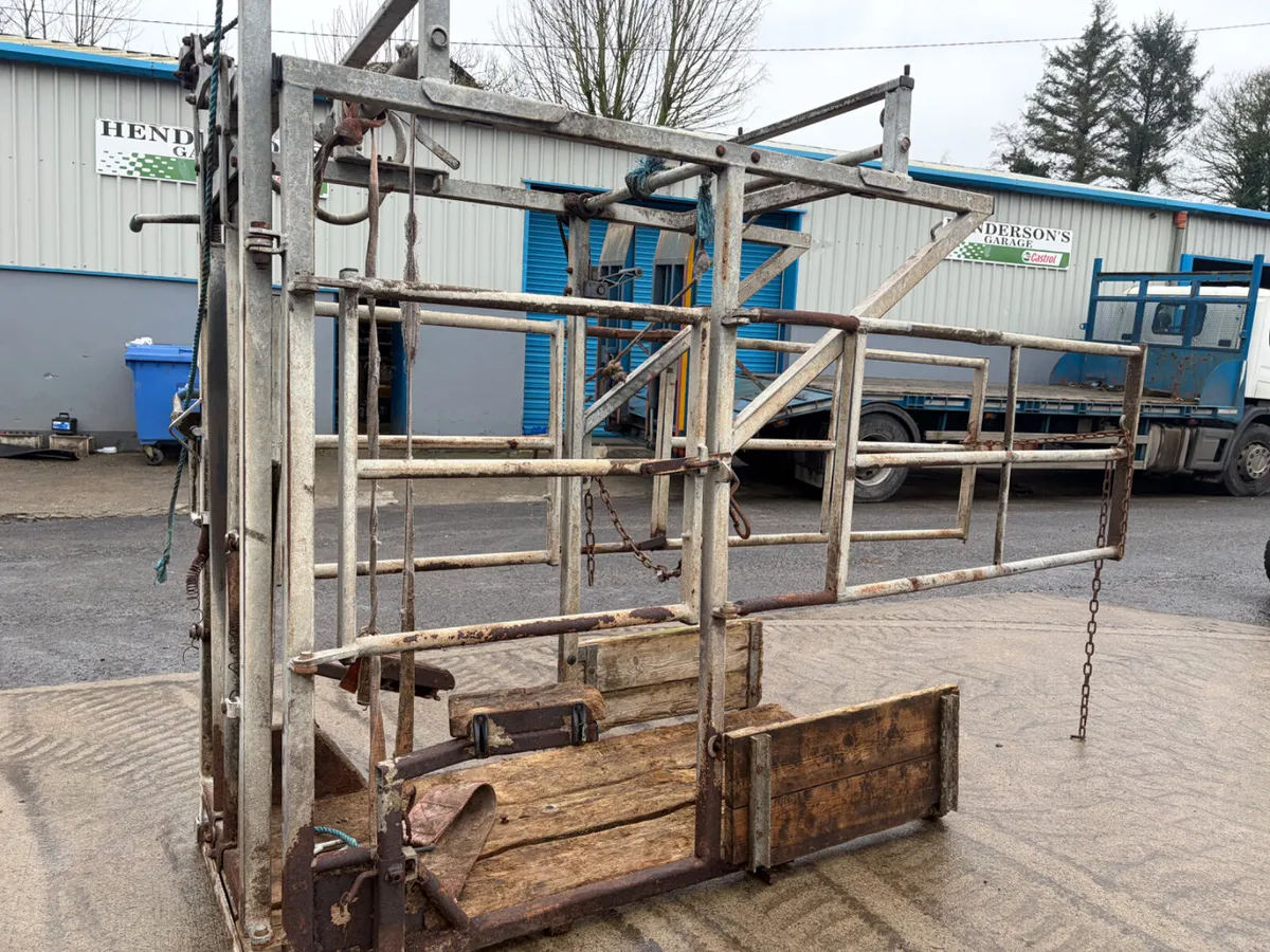 IAE Hoof Crush - Image 4