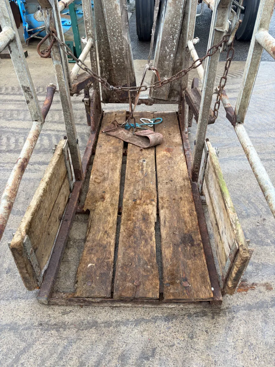 IAE Hoof Crush - Image 3